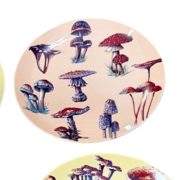 NEW Bluebird & Willow MUSHROOM APPETIZER PLATES Boxed Set/4 ๐๐๐ - Picture 4 of 5